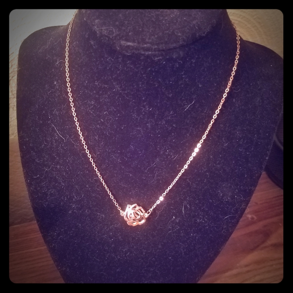 Paparazzi copper colored necklace